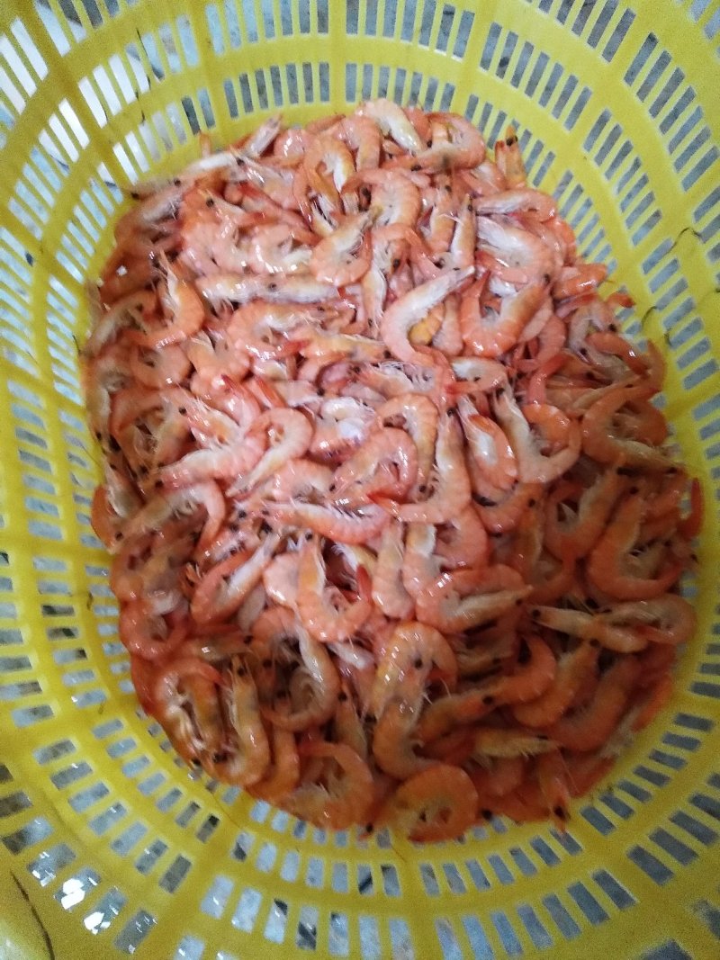 南美白对虾