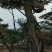 造型松