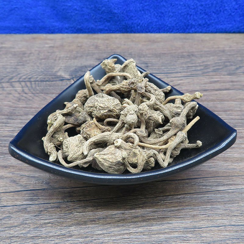 珠子参珠儿参无硫扣子七干货批发零售冷背中药材