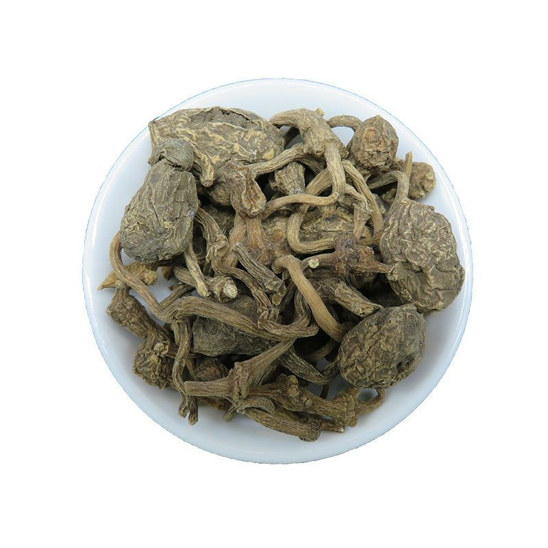 珠子参珠儿参无硫扣子七干货批发零售冷背中药材