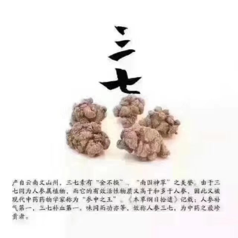 三七40头批发各种规格中药材