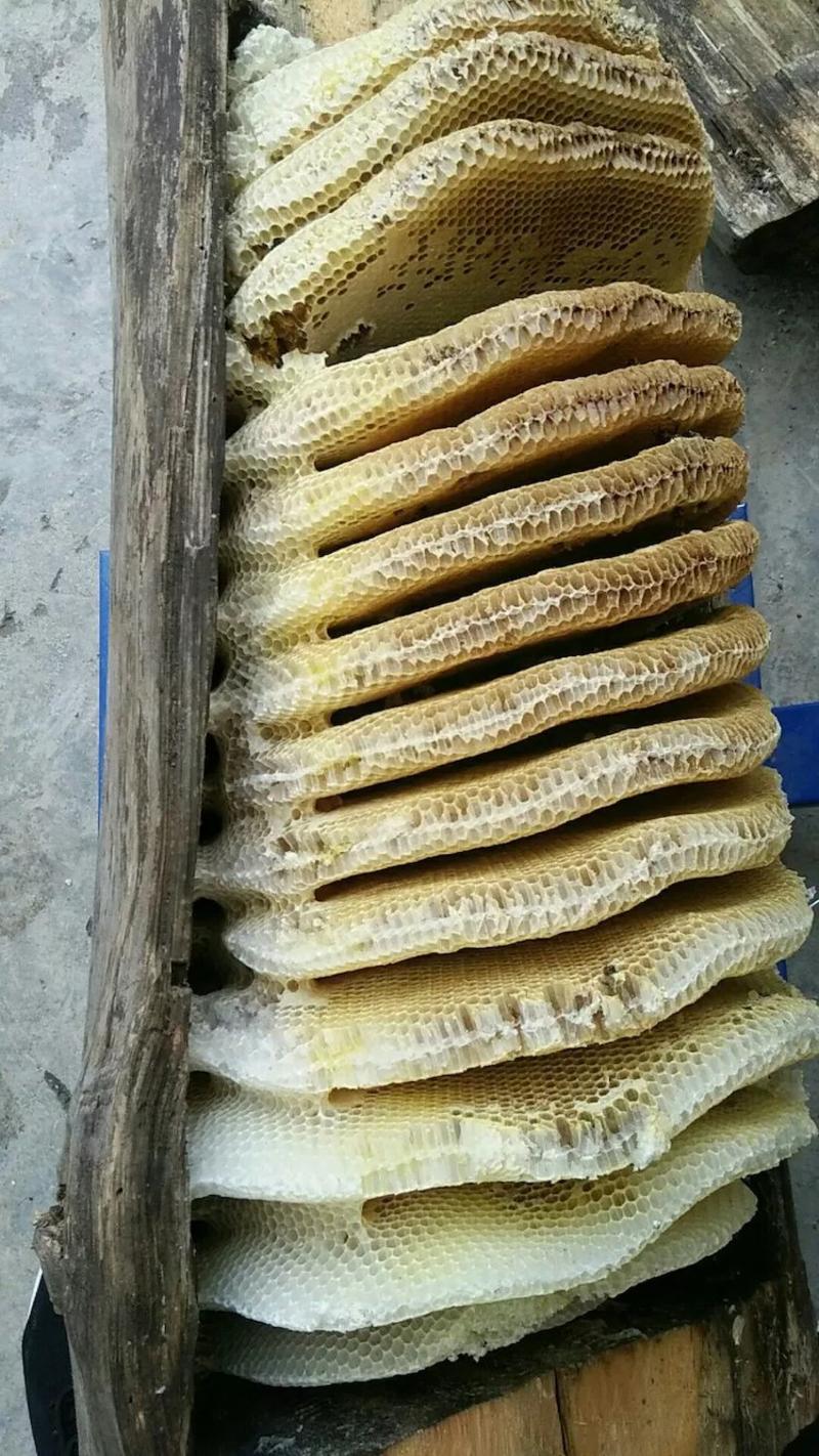 林海野生蜂蜜，生态原始