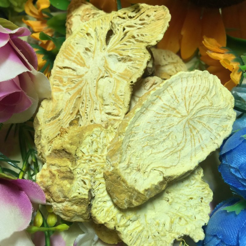 金果榄金牛胆批发零售冷背中药材