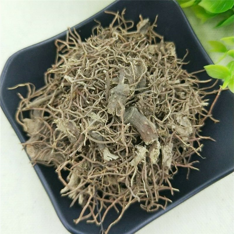 红毛七金丝七批发零售冷背中药材