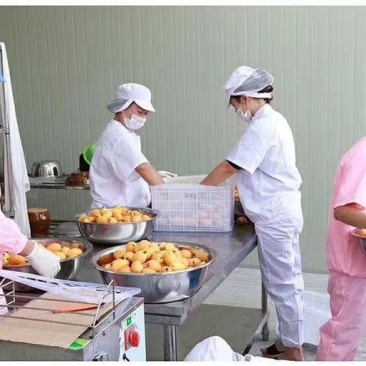 攀枝花米易手工枇杷膏500克
