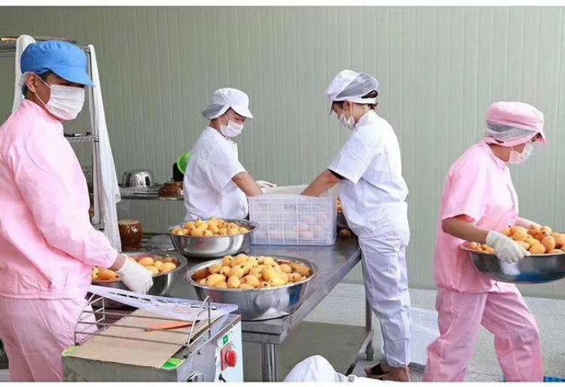 攀枝花米易手工枇杷膏500克
