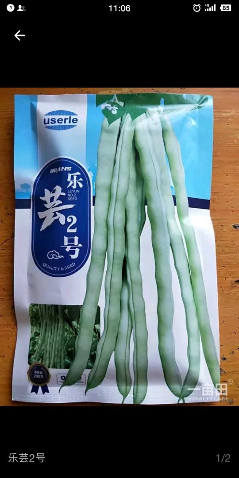 芸豆种子