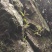 广西大瑶山野生紫皮石斛鲜货煮茶煲汤打汁泡酒