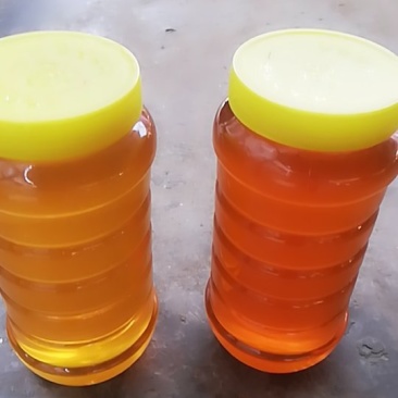 山花蜂蜜，菜仔花蜂蜜