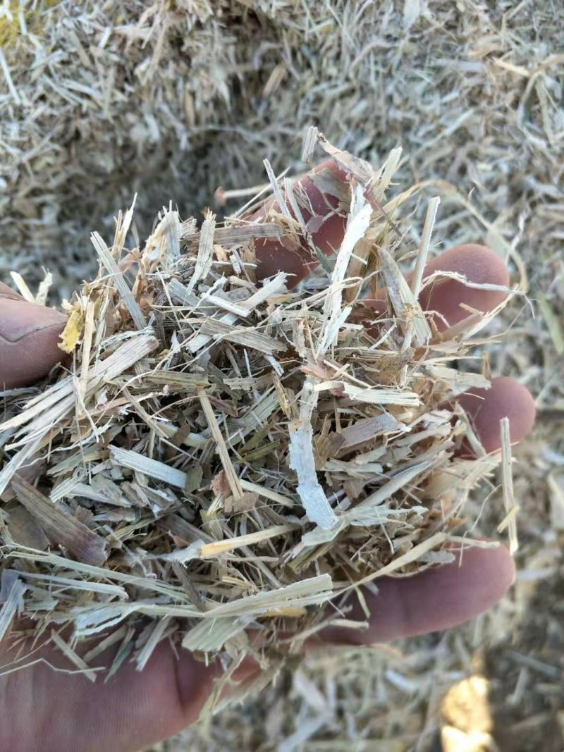玉米秸秆压块饲料过夏草块质量好量大优惠，无土无膜无石