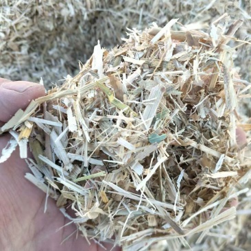 玉米秸秆压块饲料过夏草块质量好量大优惠，无土无膜无石