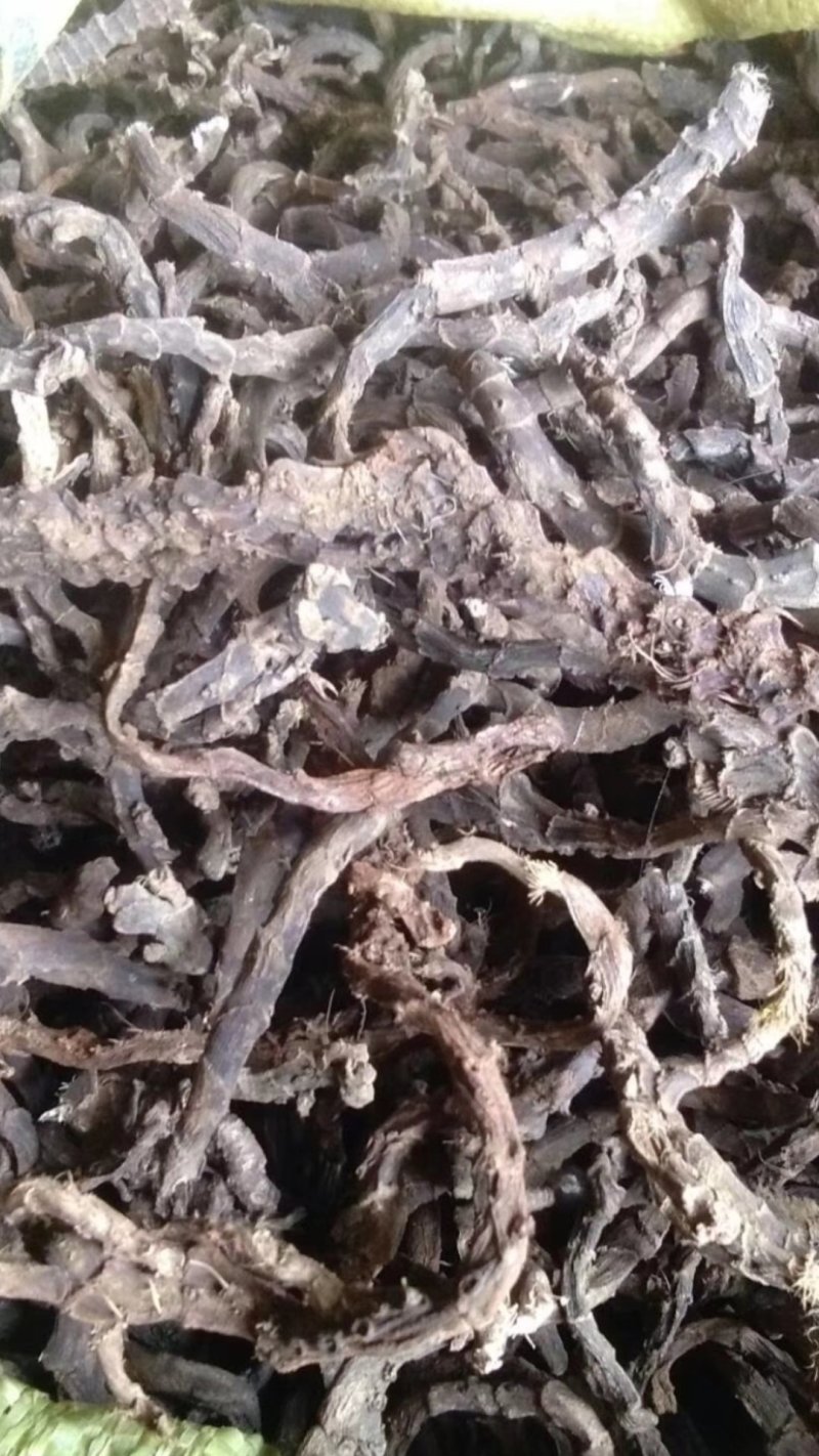 石菖蒲，骨碎补