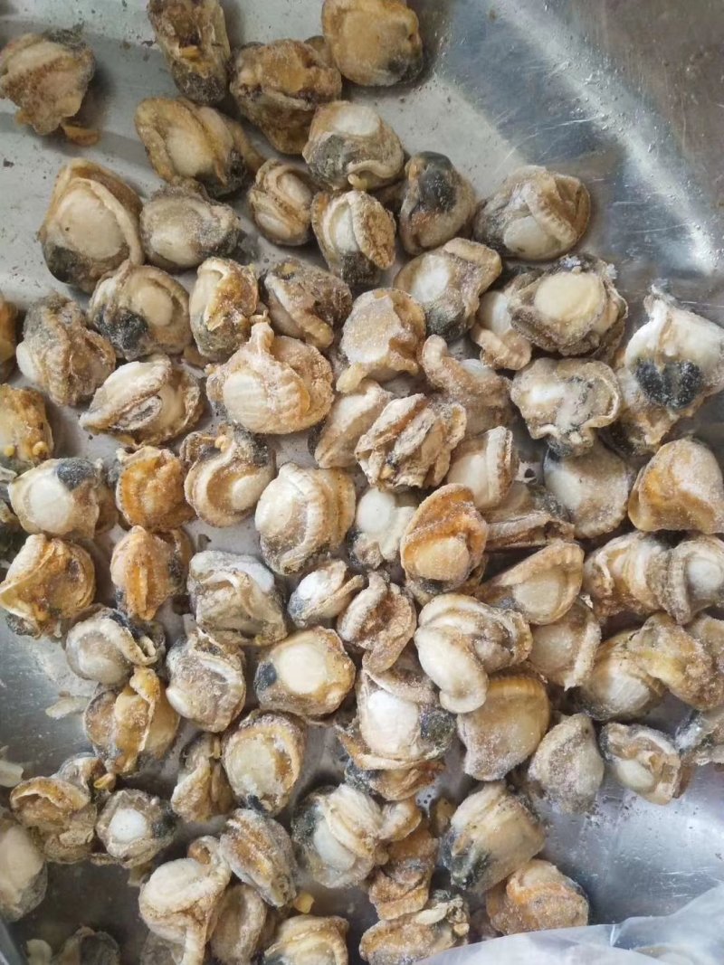 扇贝肉，新鲜速冻扇贝肉量大优惠