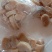 带子肉新鲜鲜活现剥瑶贝柱
