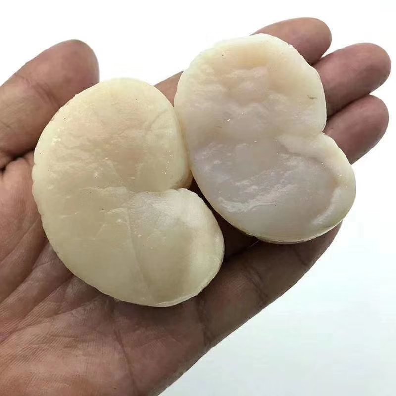 带子肉新鲜鲜活现剥瑶贝柱