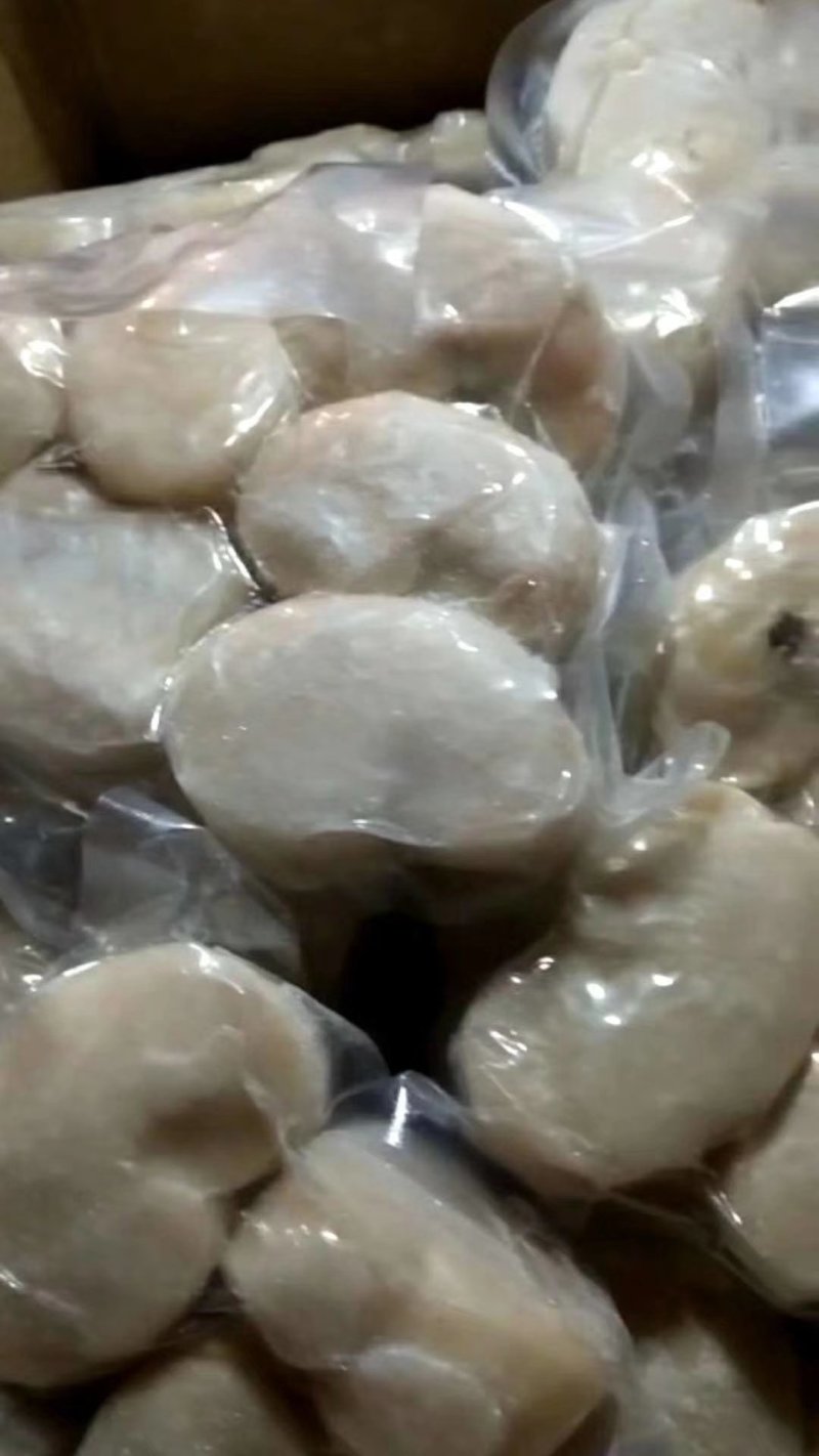 带子肉新鲜鲜活现剥瑶贝柱