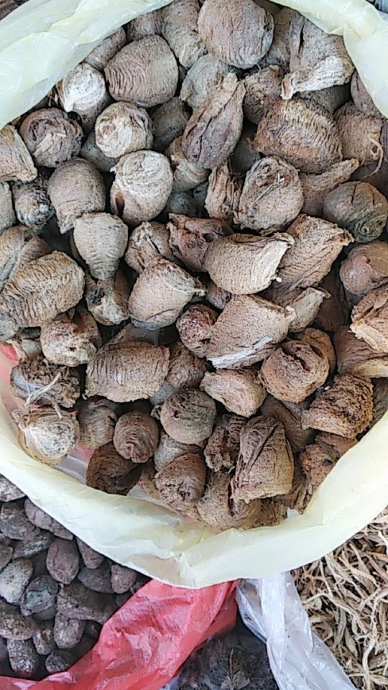 贵州铜仁生晒及蒸熟桑螵蛸干品去杂质产地直发一手货源