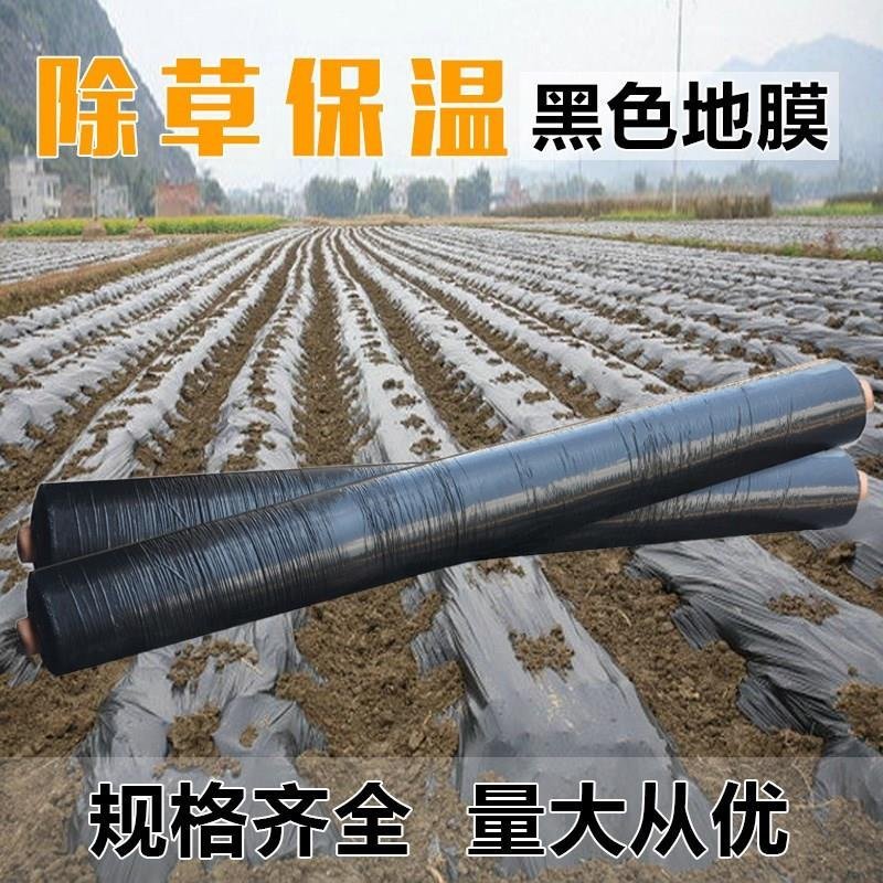 黑地膜除草膜农用加厚黑膜大棚蔬菜果园用保温保湿白膜银黑反