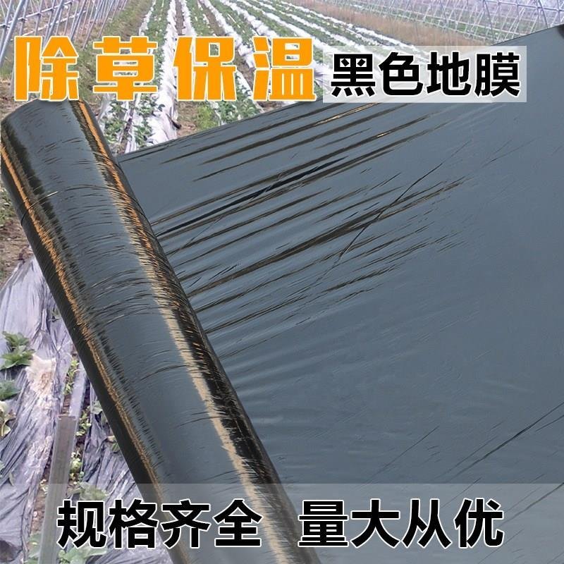 黑地膜除草膜农用加厚黑膜大棚蔬菜果园用保温保湿白膜银黑反