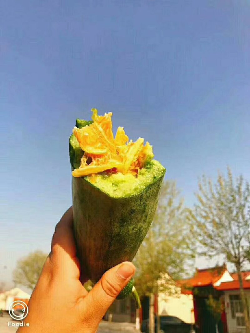 羊角蜜甜瓜，博洋甜瓜，冰糖籽，保证质量，大量供应！
