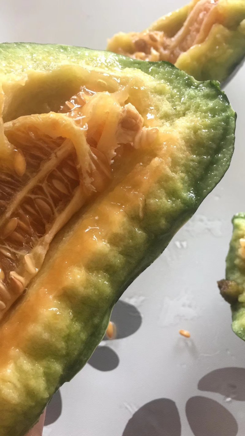羊角蜜甜瓜，博洋甜瓜，冰糖籽，保证质量，大量供应！