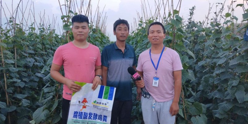 腐植酸发酵鸡粪/有机肥/改良土壤有机肥料