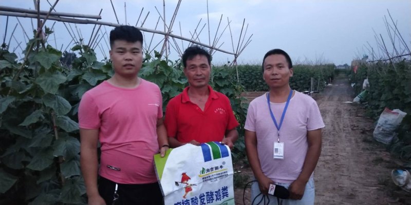 腐植酸发酵鸡粪/有机肥/改良土壤有机肥料