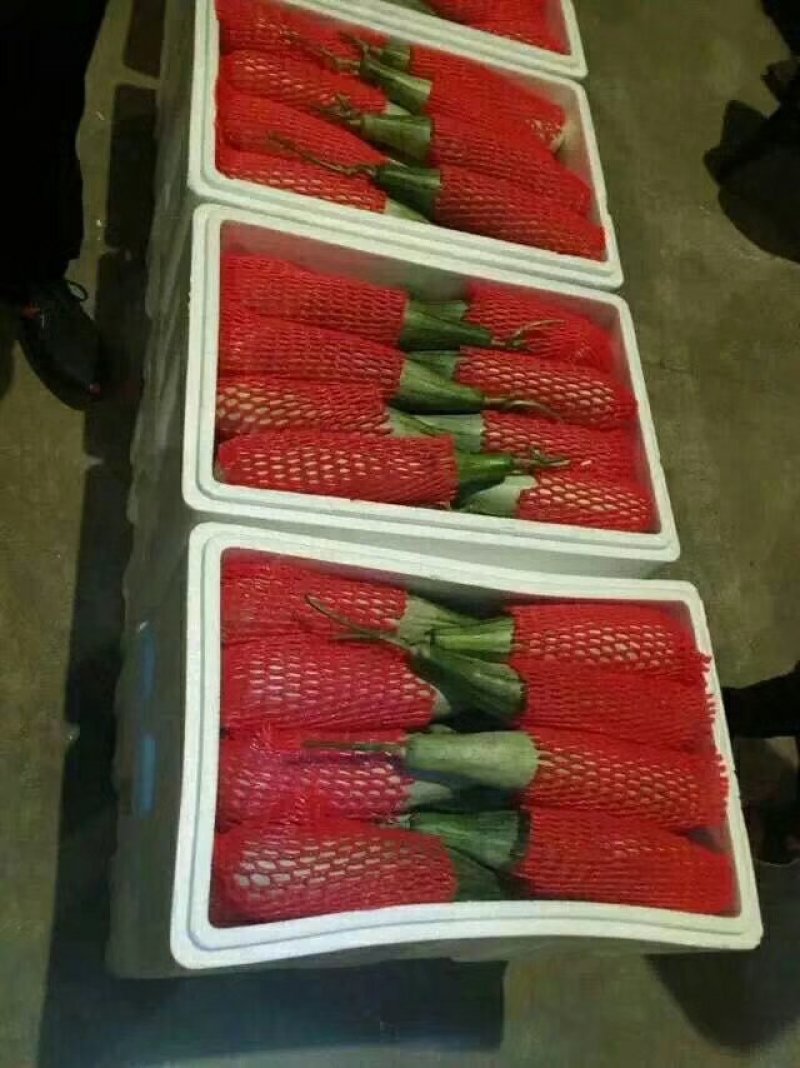 羊角蜜甜瓜，现货，地头装货，人工免费，，