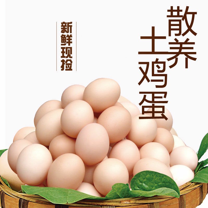 土鸡蛋