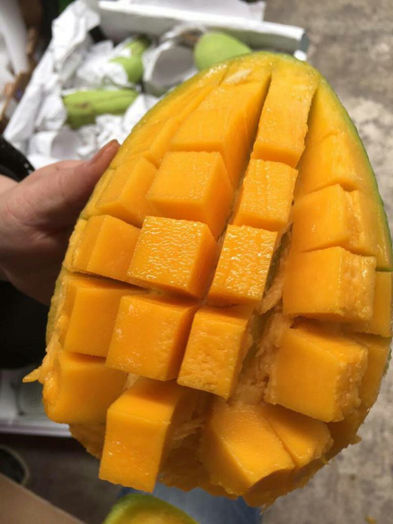 广西大青芒玉芒