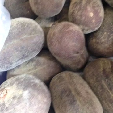 橘红果干果