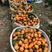 【实力商家】中华红血橙，大量上市中，产地发货，欢迎采购