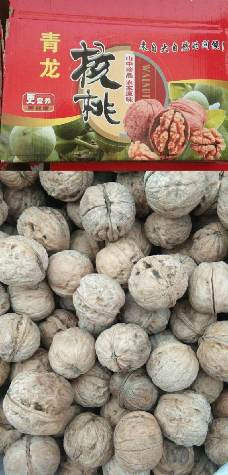 核桃，甜杏仁，豆腐干，榛蘑，炒栗子