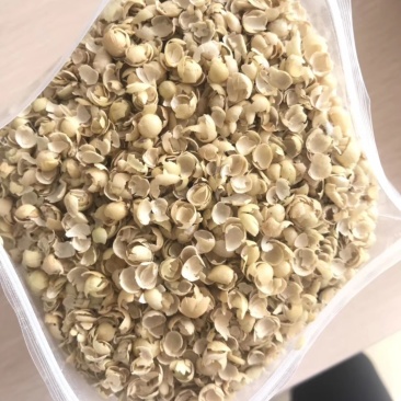 豆皮