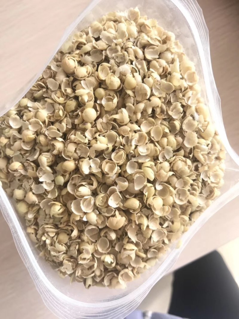 豆皮