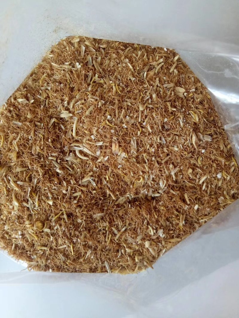 麦芽根