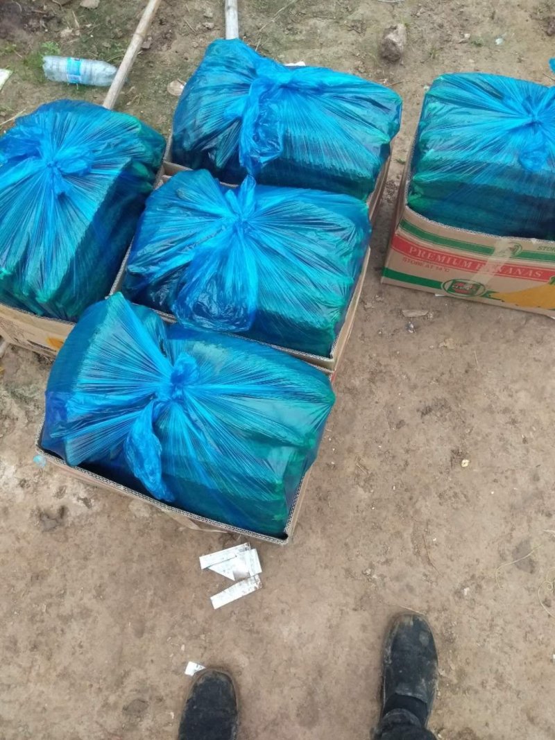 夏邑精品密刺黄瓜大量上市产地直供量大从优供全国商超