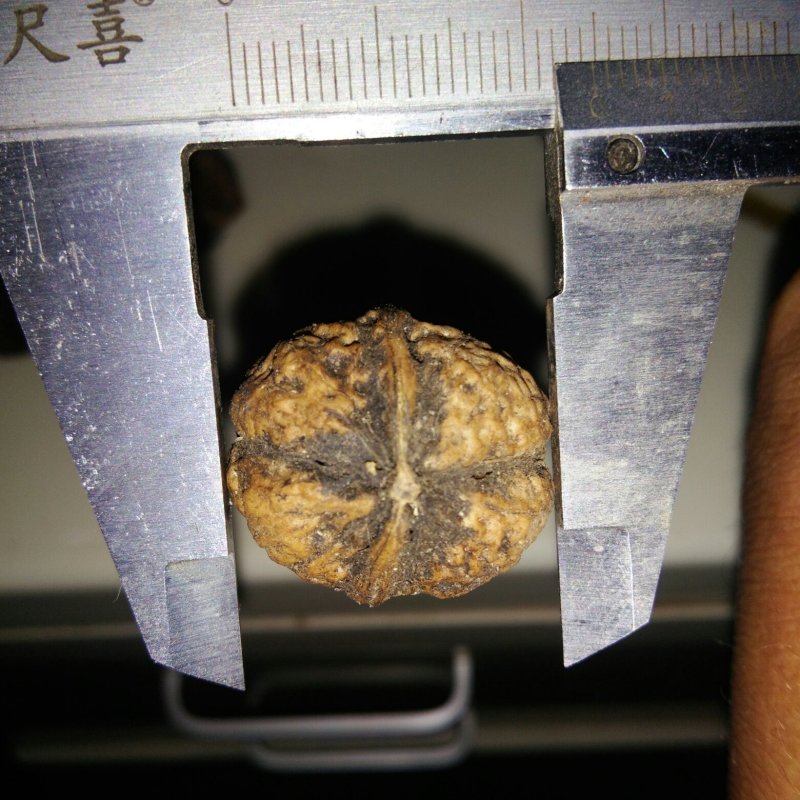 文玩核桃批发二棱三棱