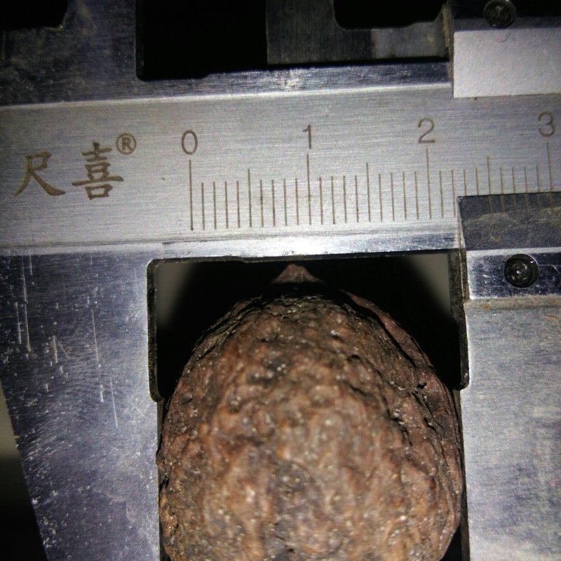 文玩核桃批发二棱三棱