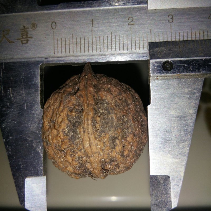 文玩核桃批发二棱三棱