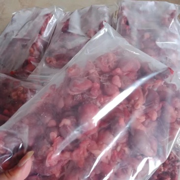 禽畜牧蛋肉