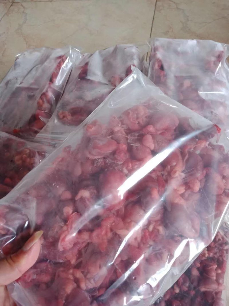 禽畜牧蛋肉