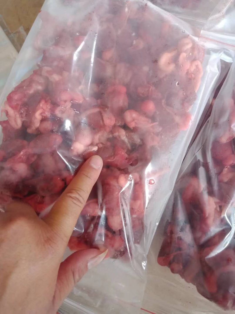 禽畜牧蛋肉
