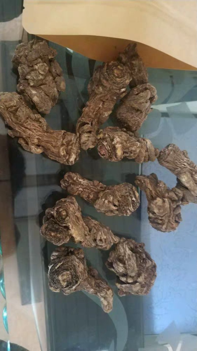 当归头甘肃定西岷县当归片头片产地直销500g包邮