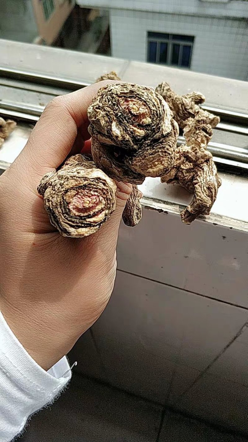 当归头甘肃定西岷县当归片头片产地直销500g包邮