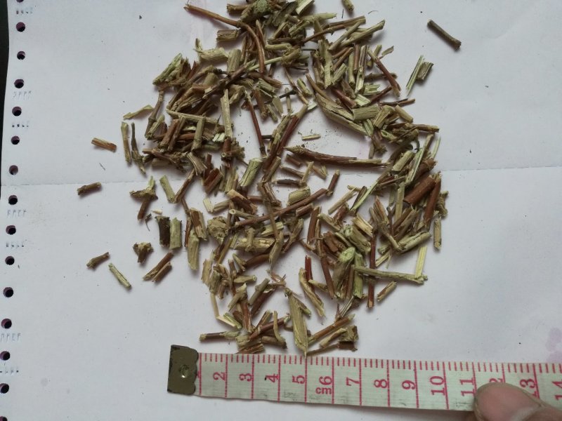 忍冬藤金银花藤统货批发诚信经营支持混批量大从优