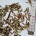 忍冬藤金银花藤统货批发诚信经营支持混批量大从优