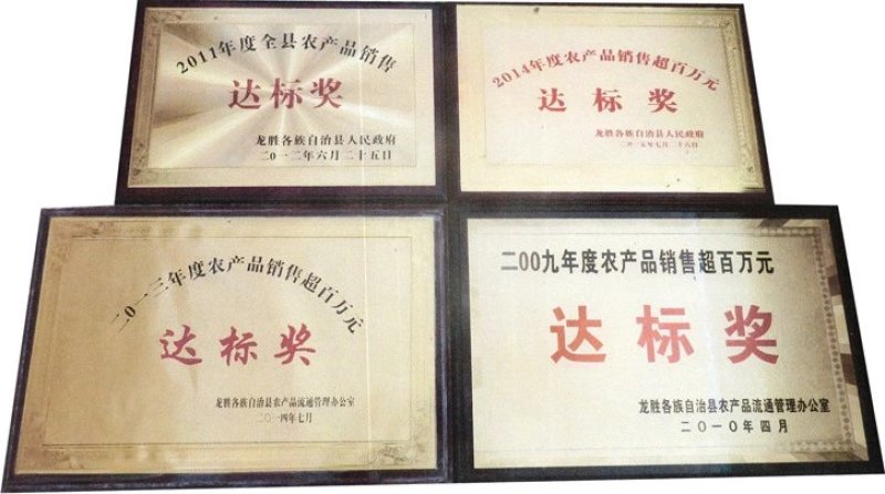 广西罗汉果真空脱水果芯茶果仁果肉茶招商批发均可