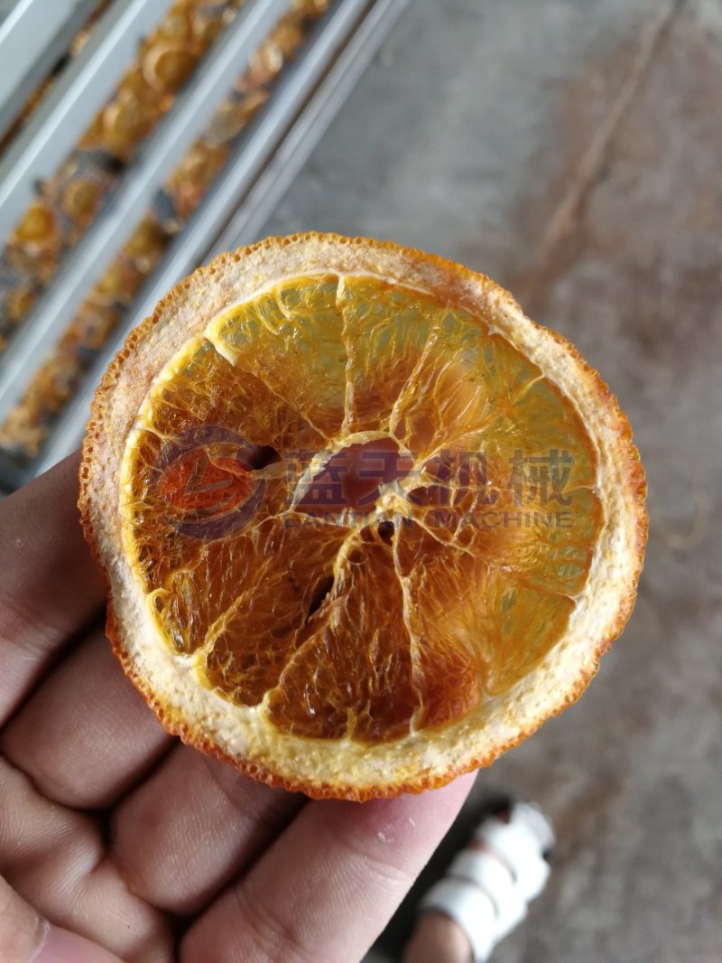 蓝天芒果烘干机芒果干烘干机芒果片烘干机菠萝烘干机