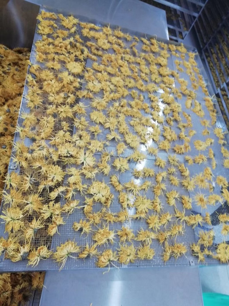 蓝天芒果烘干机芒果干烘干机芒果片烘干机菠萝烘干机